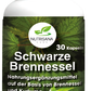 SCHWARZE BRENNESSEL