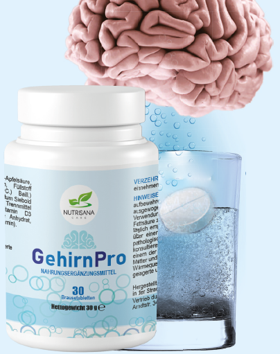 GehirnPro