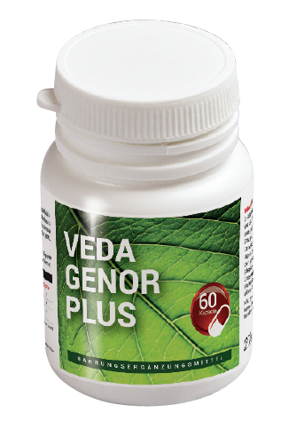 VEDA GENOR